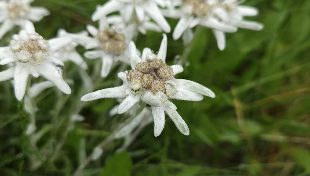 © JDAV Ingolstadt/Ringsee