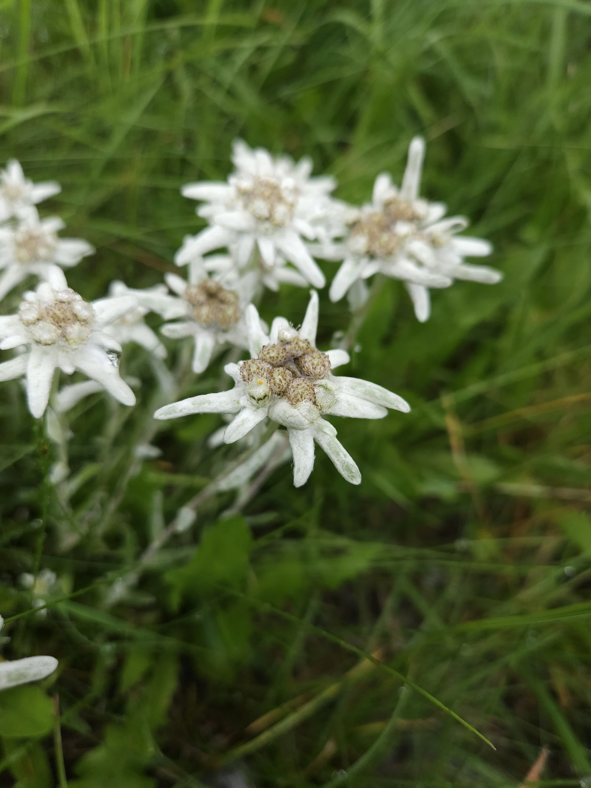 © JDAV Ingolstadt/Ringsee