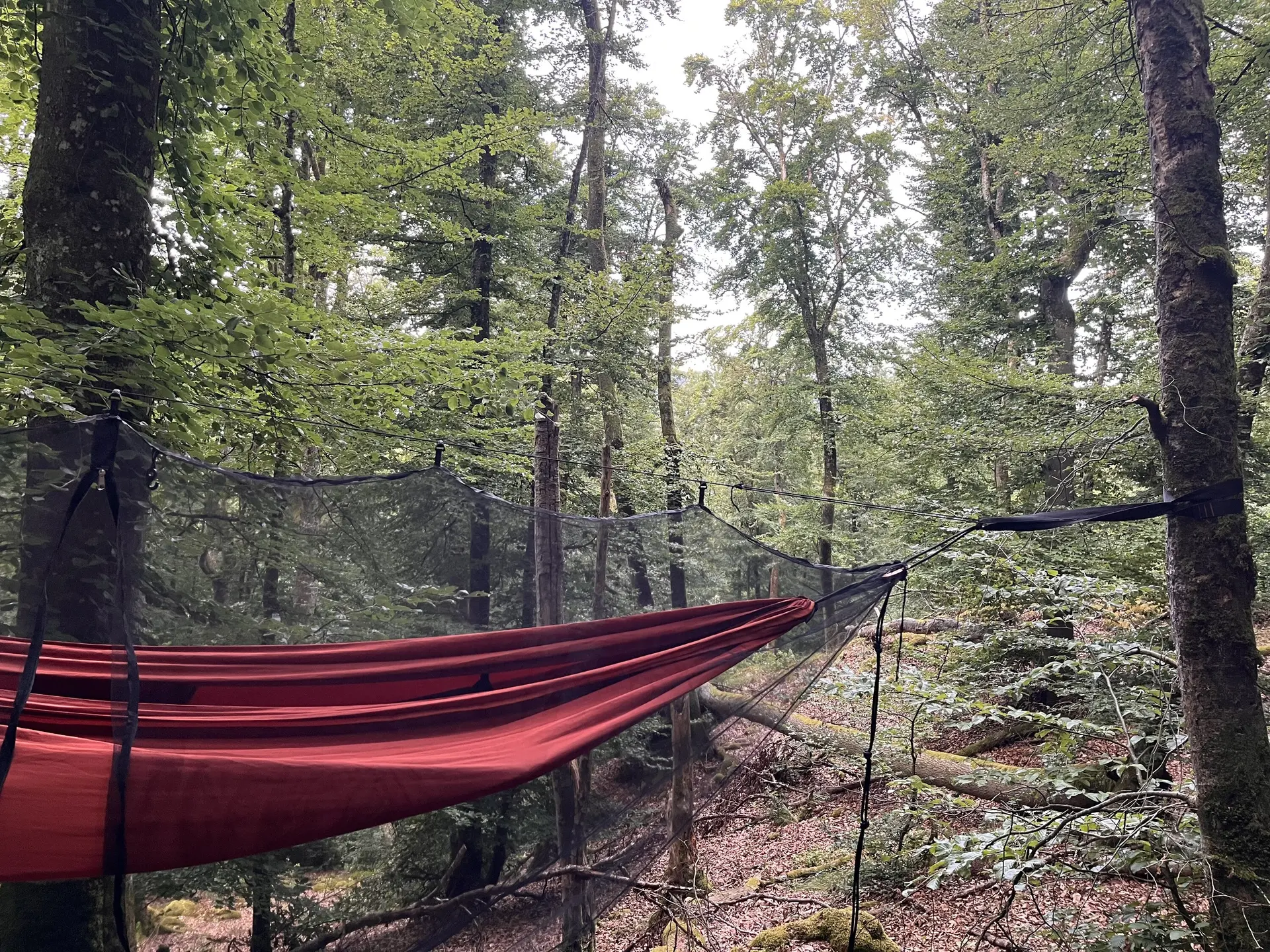 © JDAV Ringsee & Ingolstadt