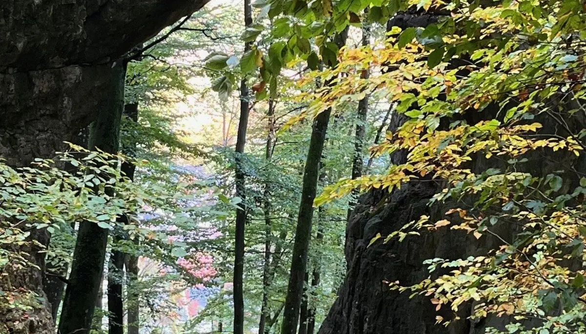 © DAV Ingolstadt / Uwe Nikolaus