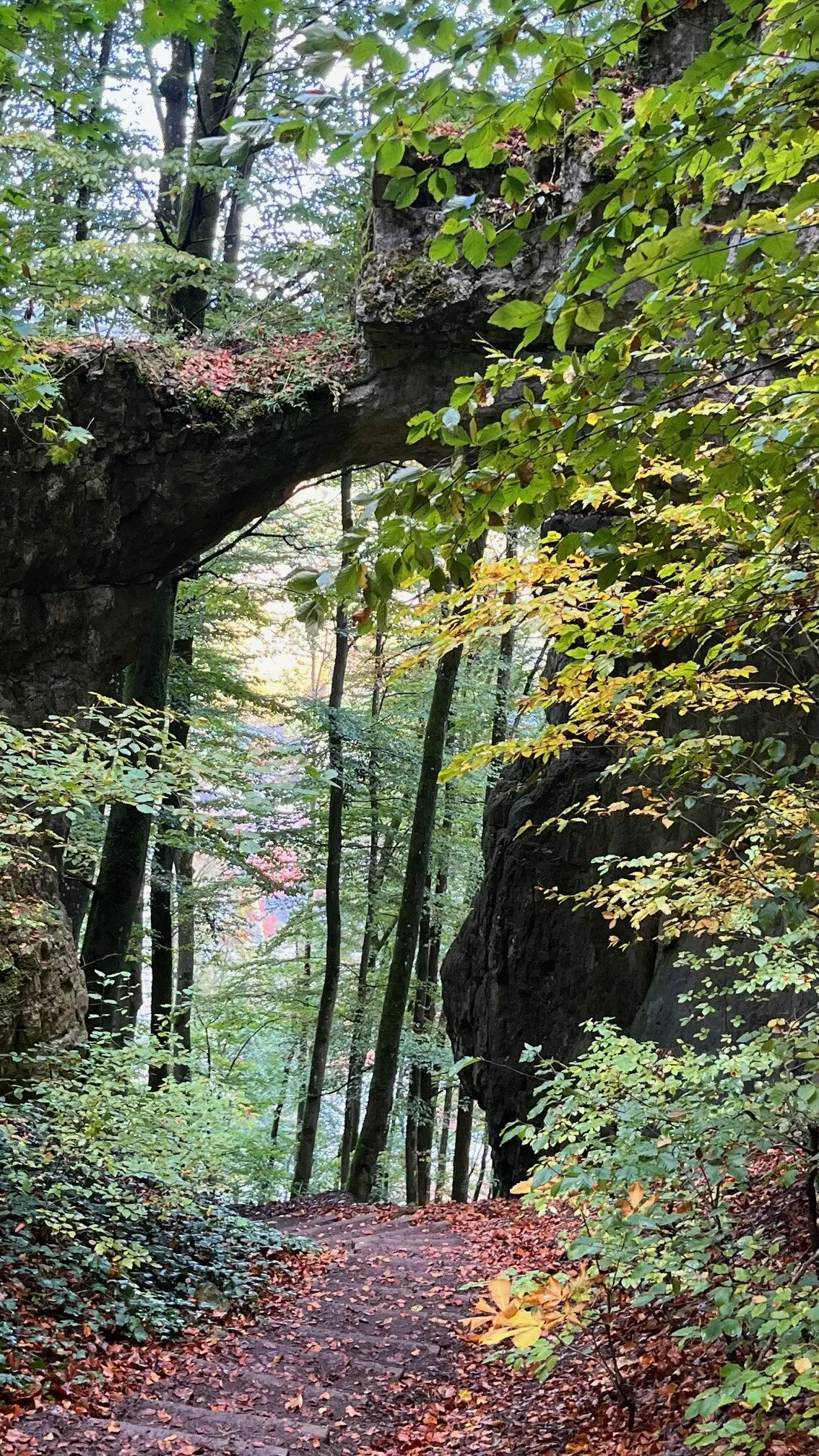 © DAV Ingolstadt / Uwe Nikolaus