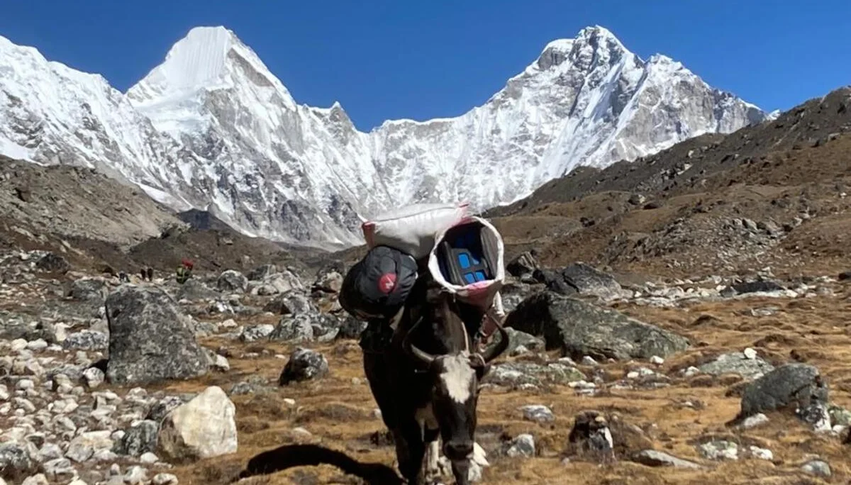 © DAV Ingolstadt / Edi Graf