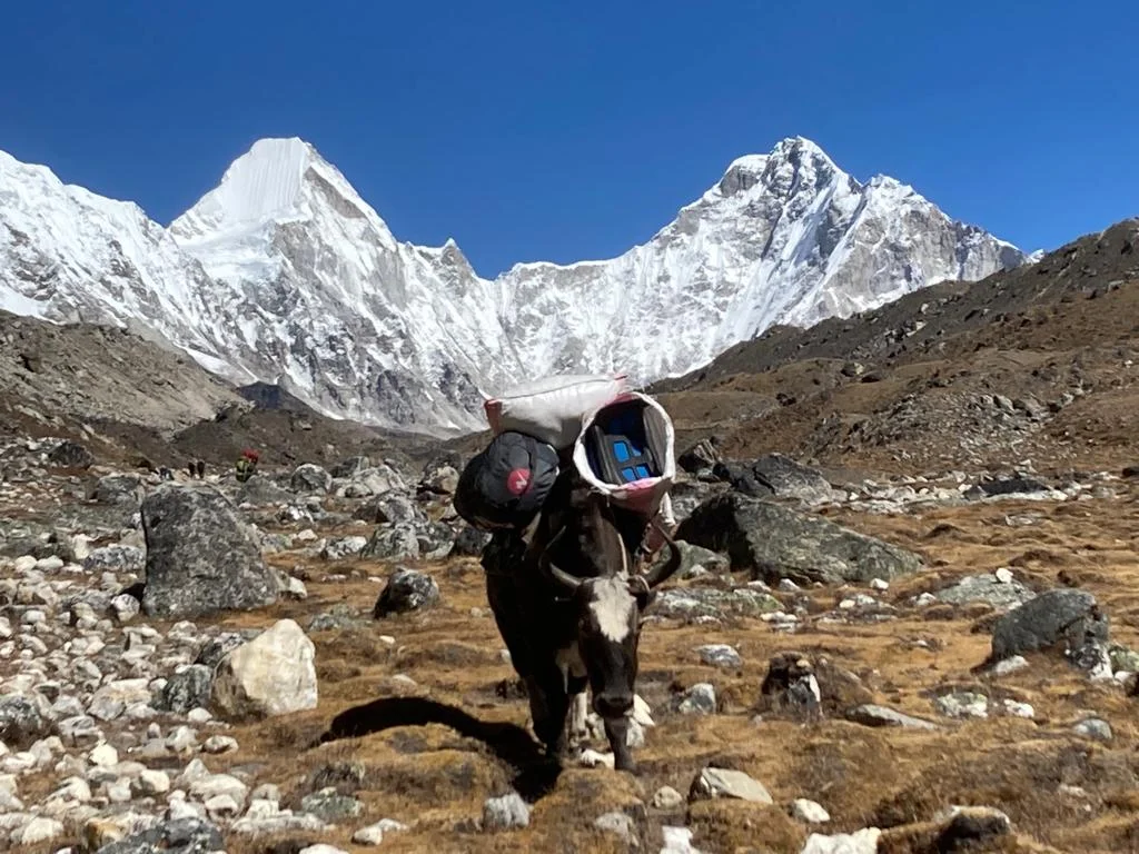 © DAV Ingolstadt / Edi Graf