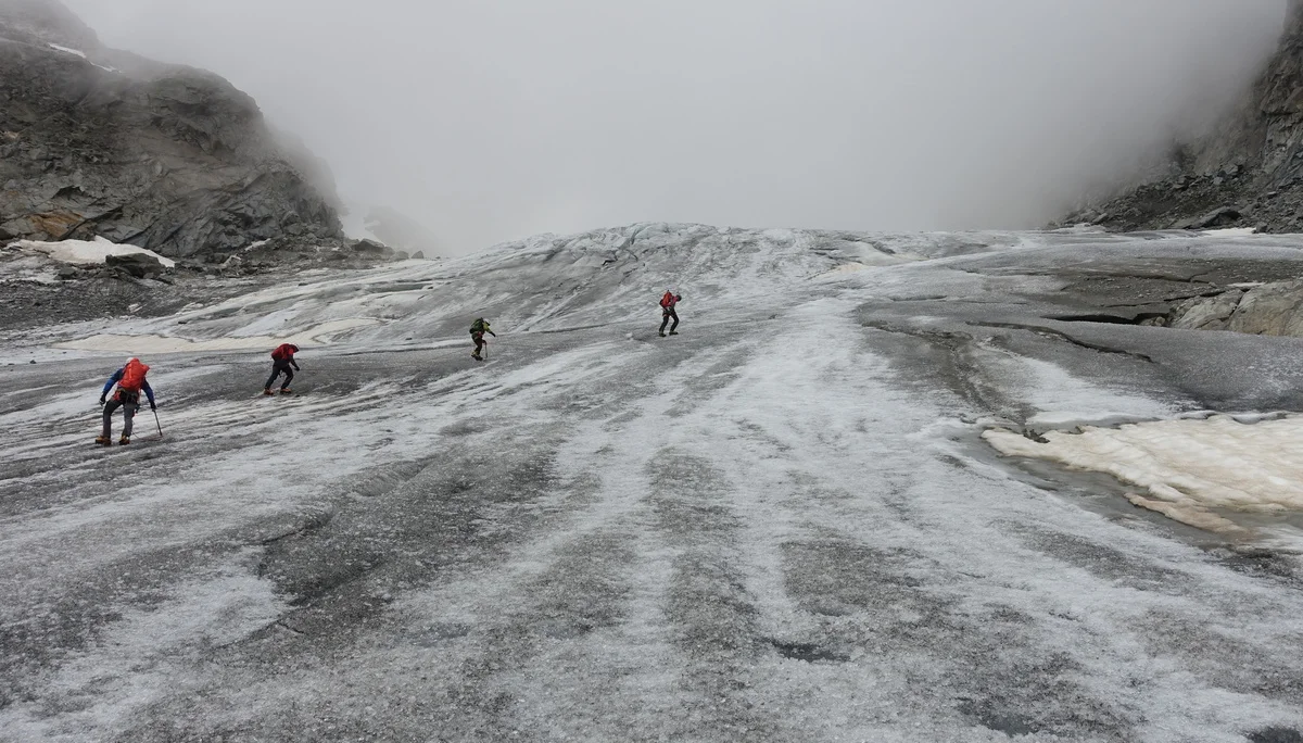 © DAV Ingolstadt / Stephan Stickler