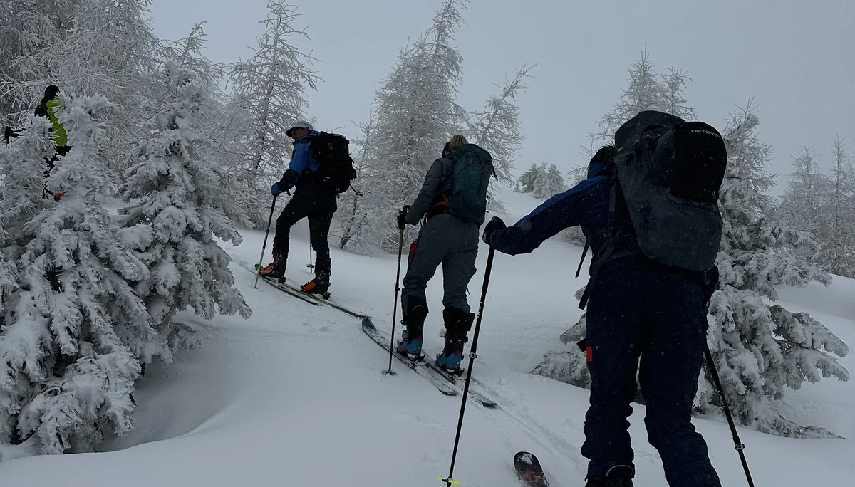 © DAV Ingolstadt /  Sebastian Weigl