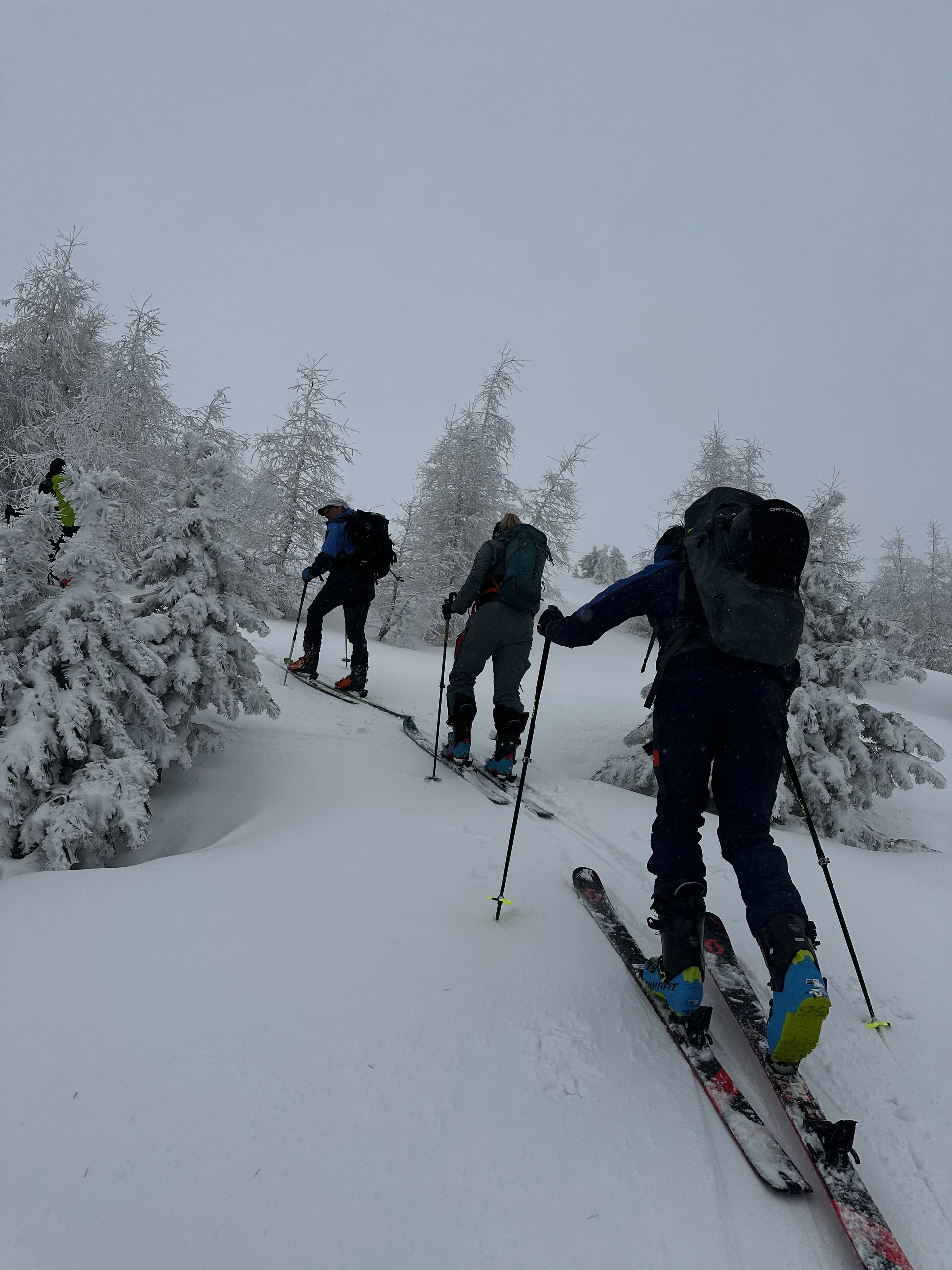 © DAV Ingolstadt /  Sebastian Weigl