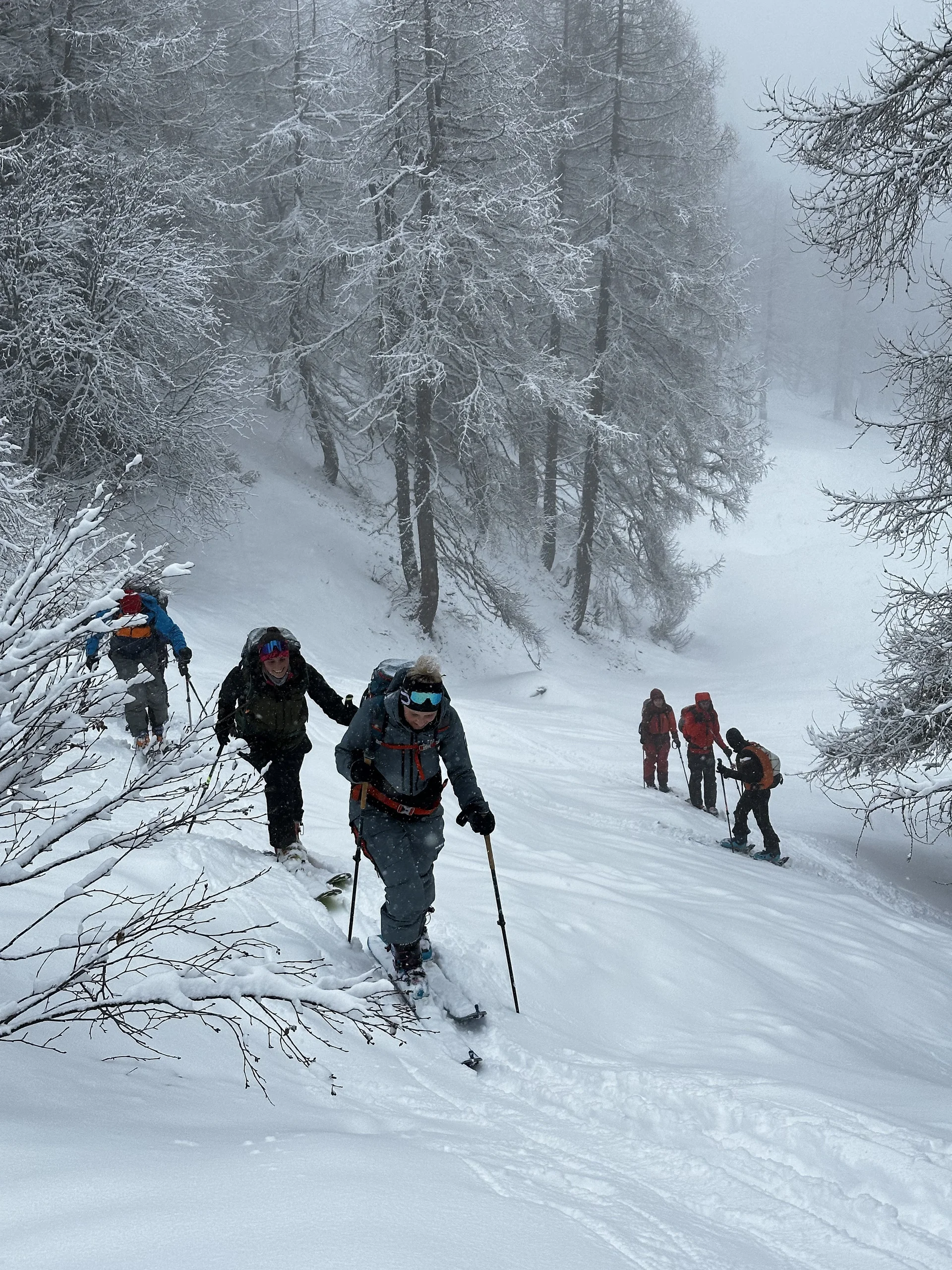 © DAV Ingolstadt /  Sebastian Weigl