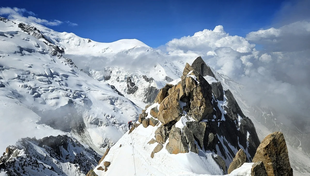 © DAV Ingolstadt / Sebastian Simi