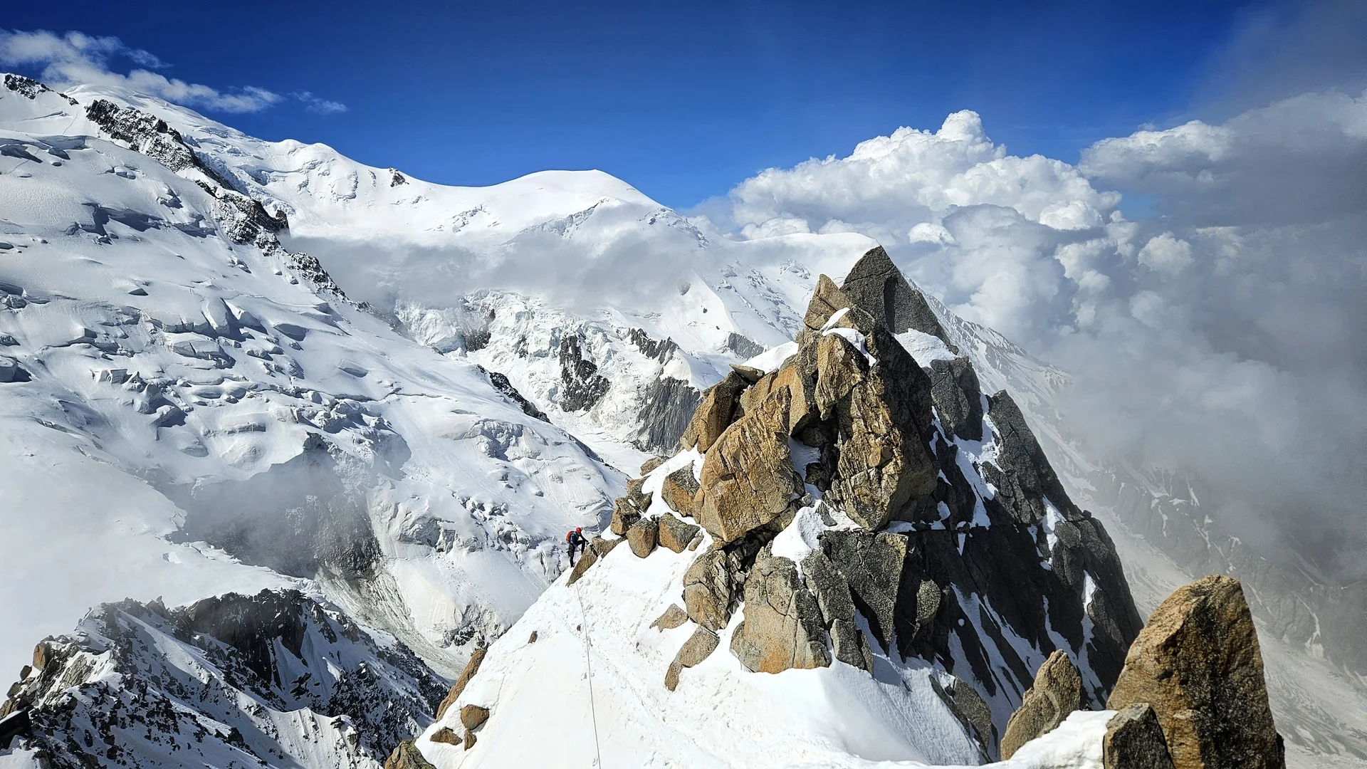 © DAV Ingolstadt / Sebastian Simi