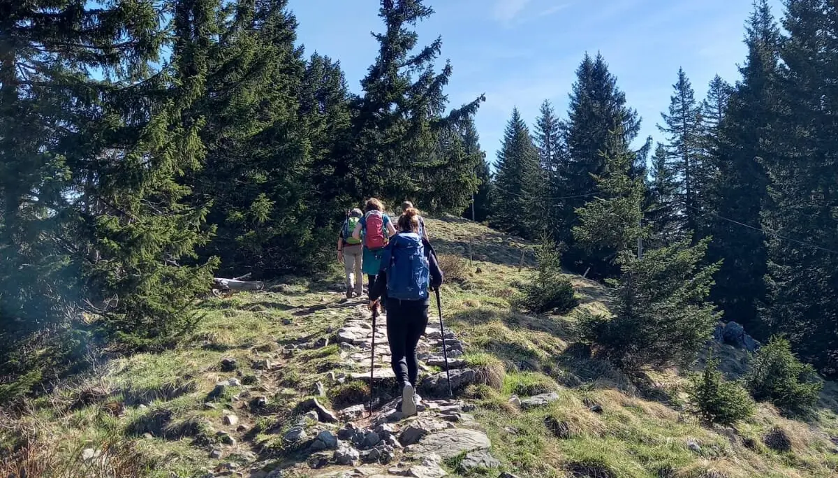 © DAV Ingolstadt / Tourengruppe Bergfreunde