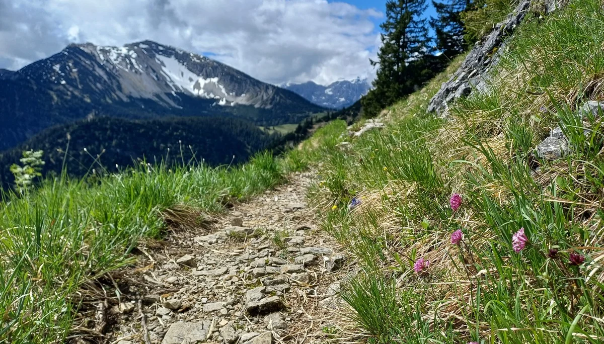 © DAV Ingolstadt / Tourengruppe Bergfreunde