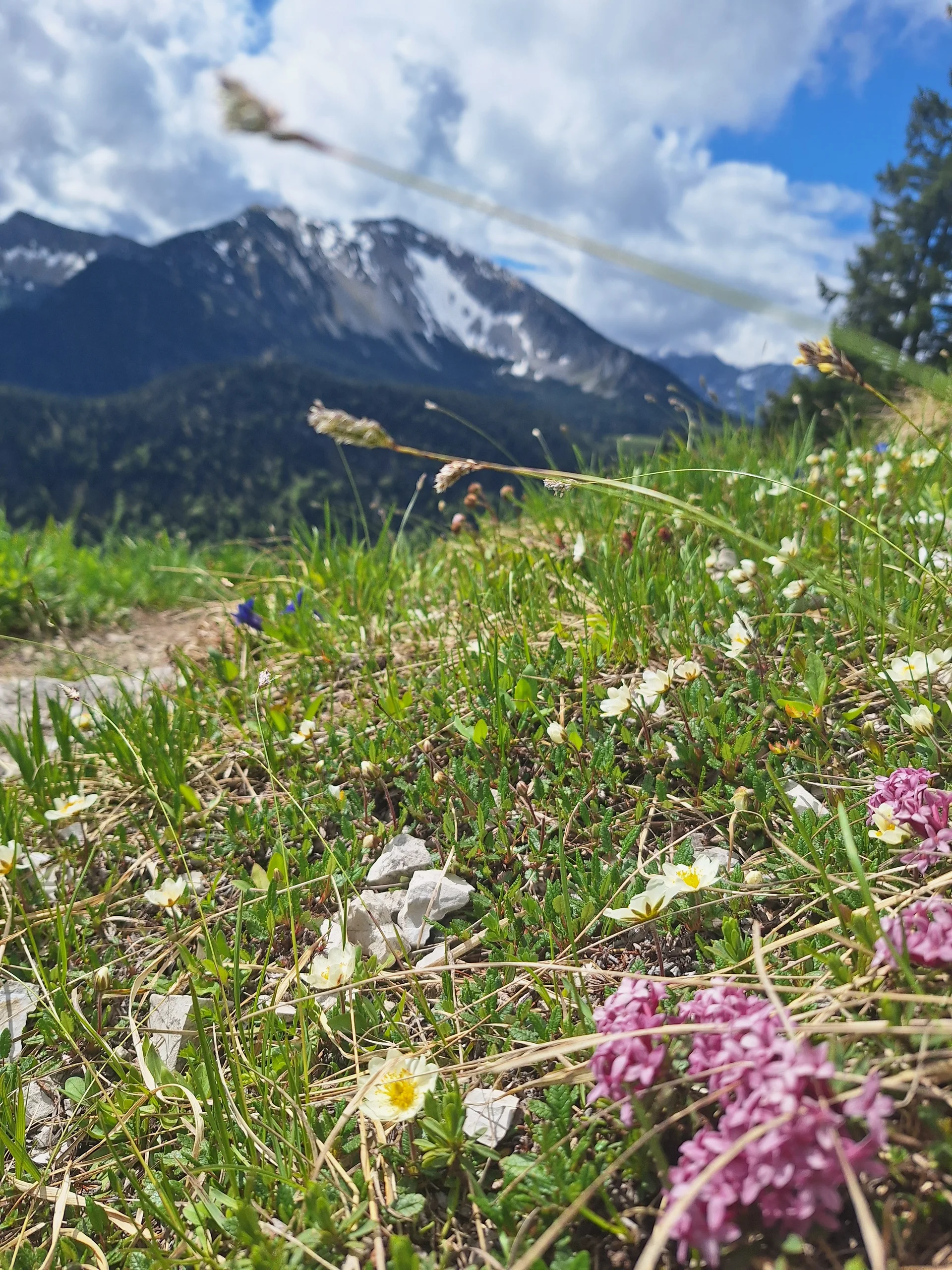 © DAV Ingolstadt / Tourengruppe Bergfreunde