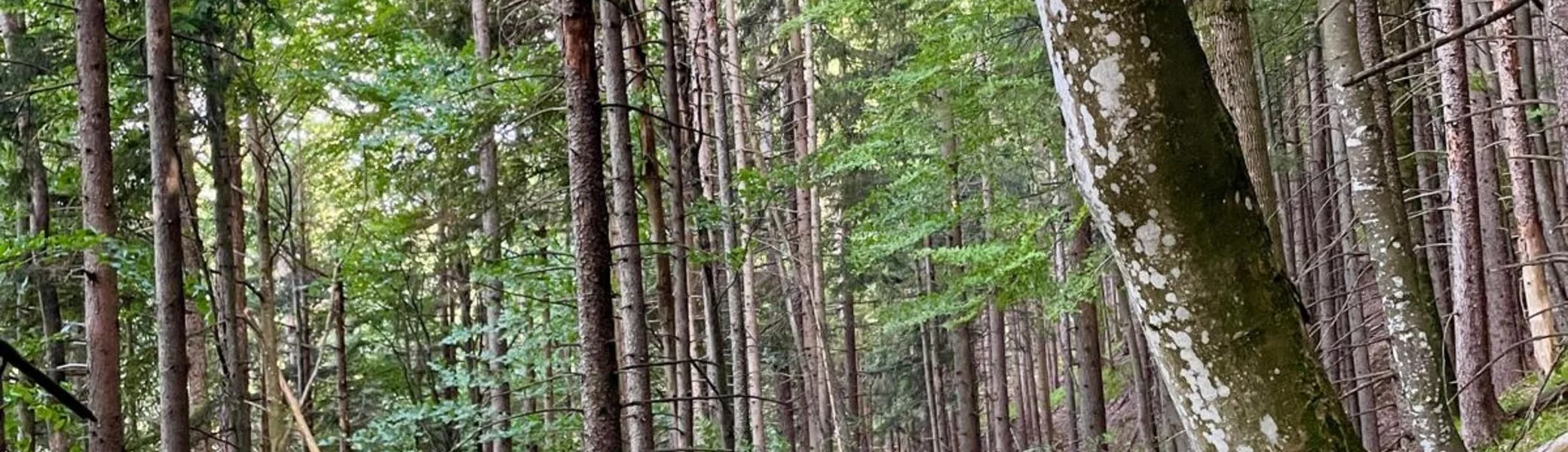 © DAV Ingolstadt / Tourengruppe Bergfreunde
