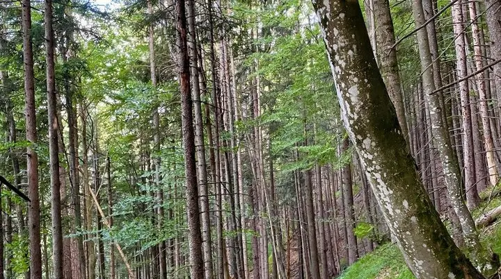 © DAV Ingolstadt / Tourengruppe Bergfreunde