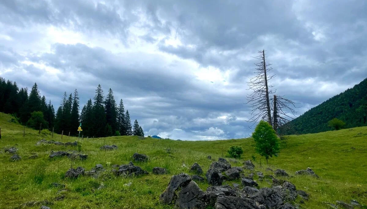 © DAV Ingolstadt / Tourengruppe Bergfreunde