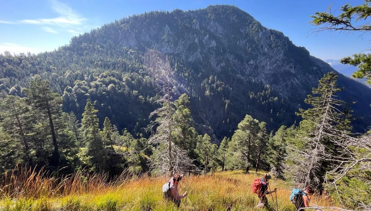 © DAV Ingolstadt / Tourengruppe Bergfreunde