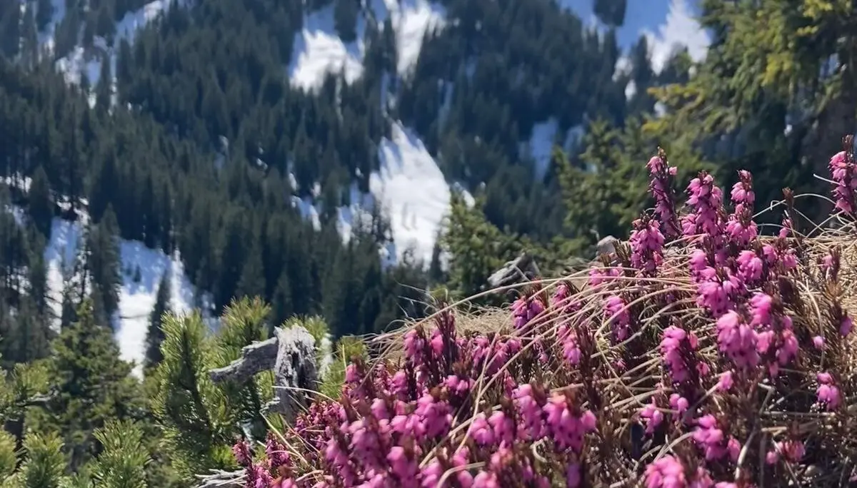 © DAV Ingolstadt / Tourengruppe Bergfreunde