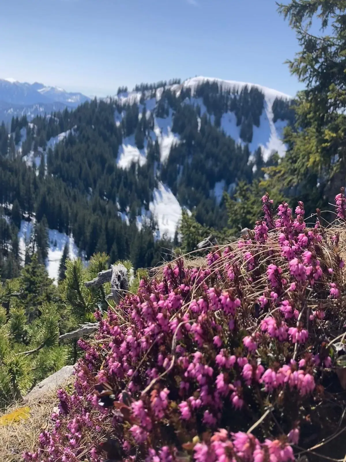 © DAV Ingolstadt / Tourengruppe Bergfreunde