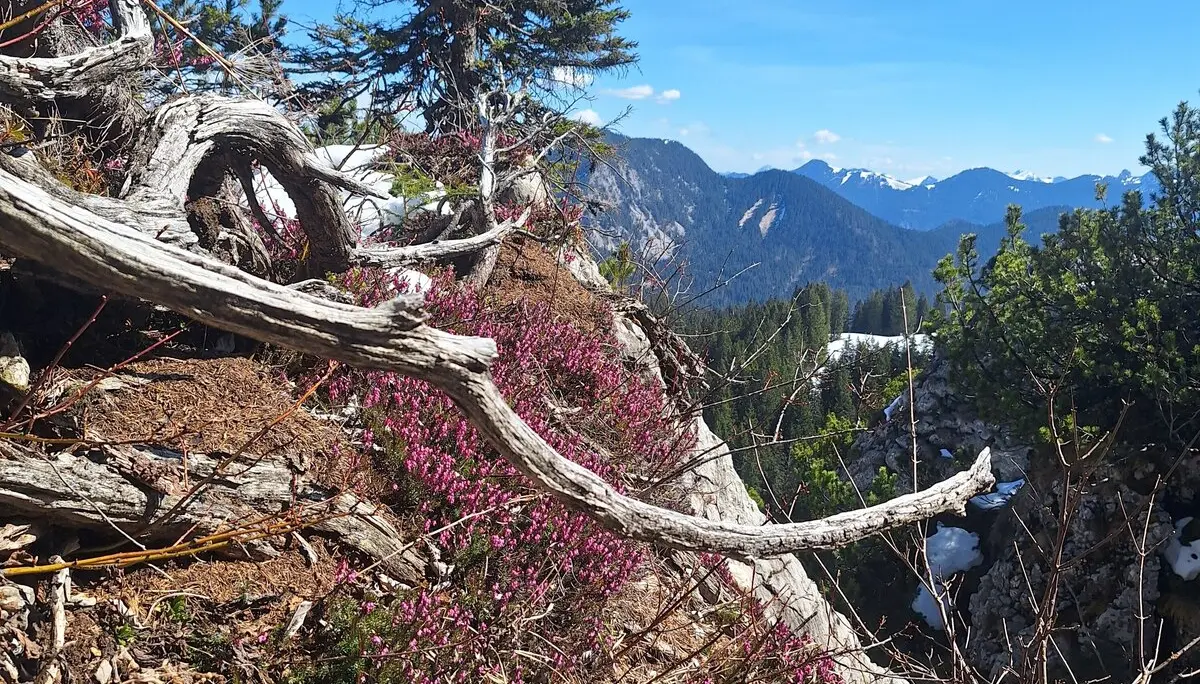 © DAV Ingolstadt / Tourengruppe Bergfreunde