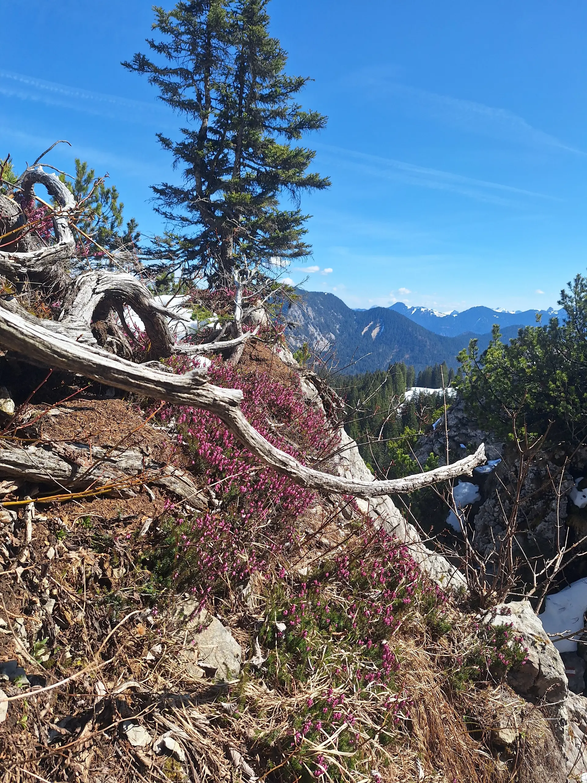 © DAV Ingolstadt / Tourengruppe Bergfreunde