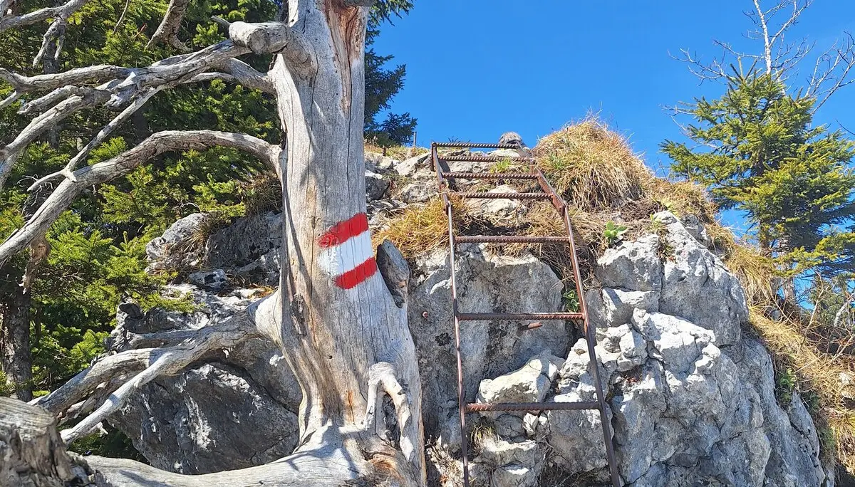 © DAV Ingolstadt / Tourengruppe Bergfreunde