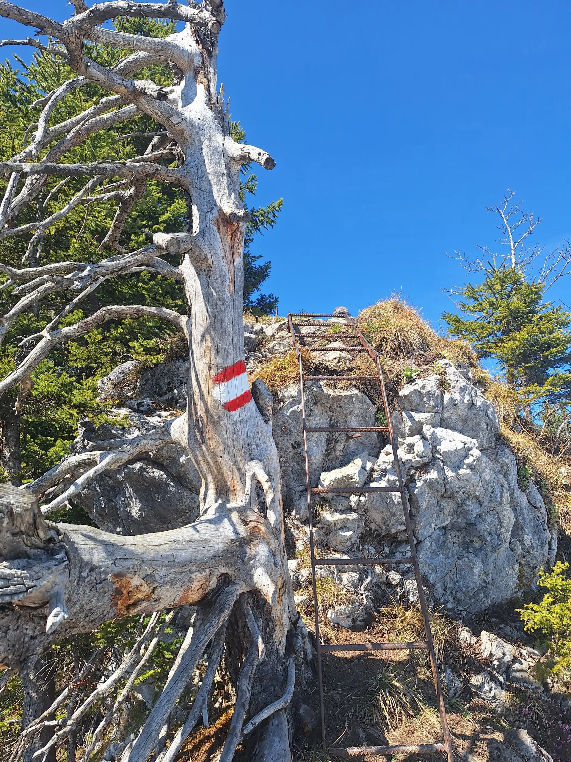 © DAV Ingolstadt / Tourengruppe Bergfreunde