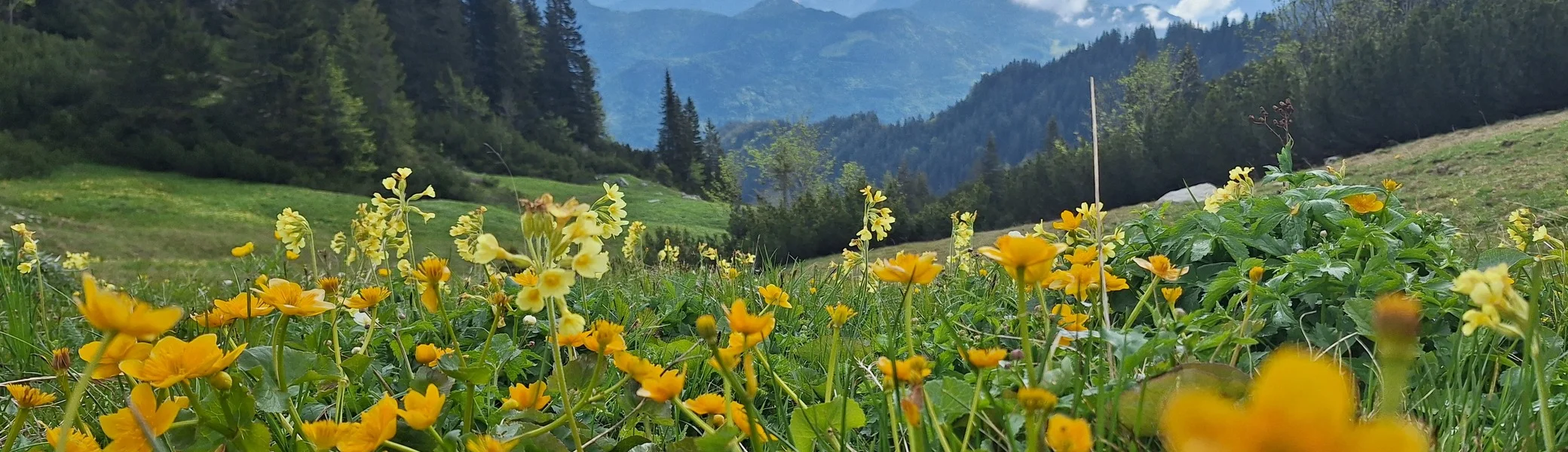 © DAV Ingolstadt / Tourengruppe Bergfreunde