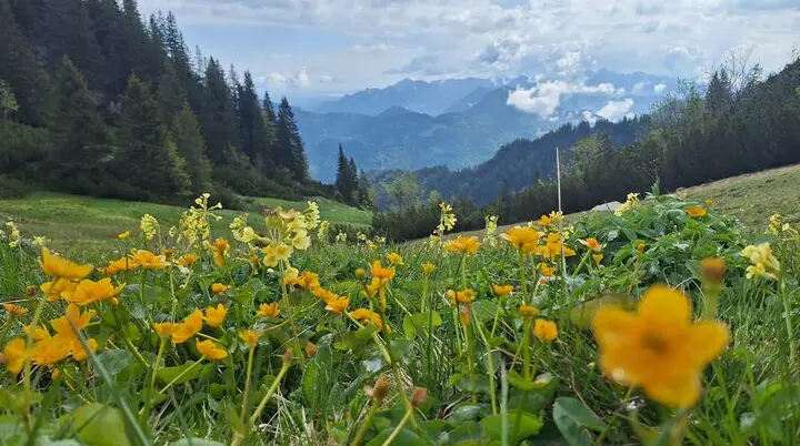 © DAV Ingolstadt / Tourengruppe Bergfreunde