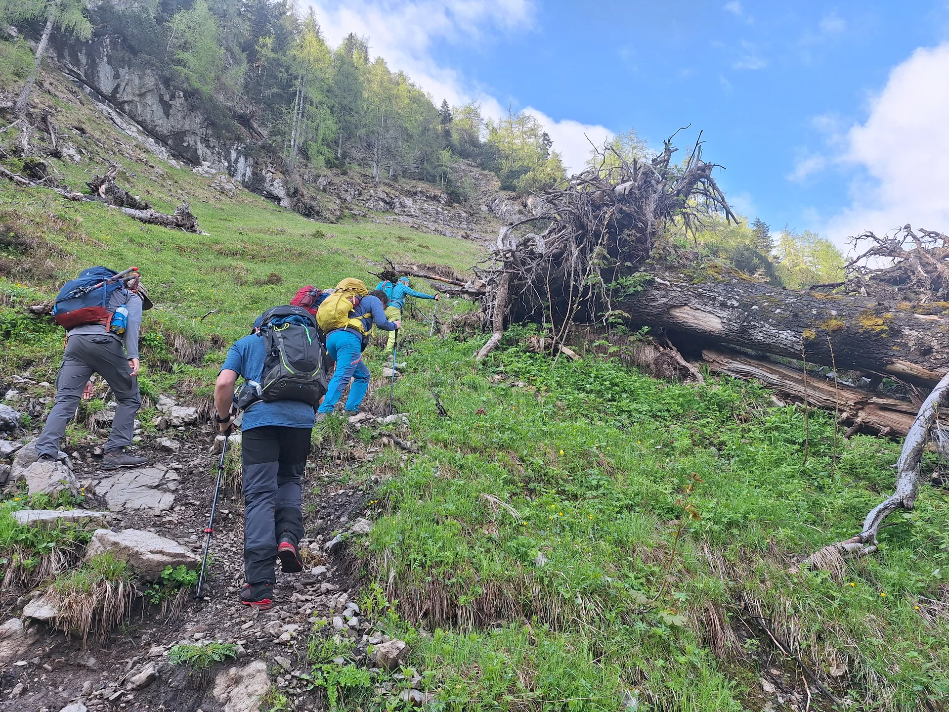 © DAV Ingolstadt / Tourengruppe Bergfreunde
