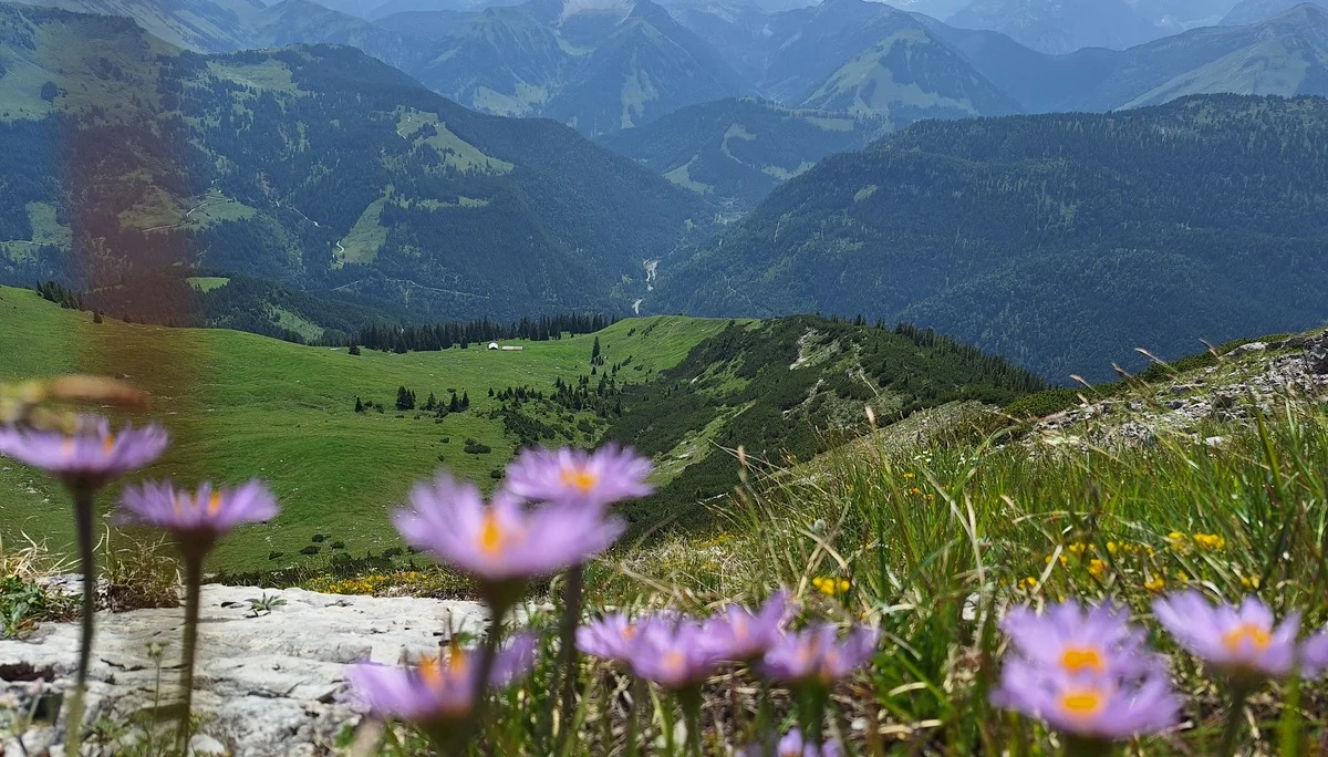 © DAV Ingolstadt / Tourengruppe Bergfreunde