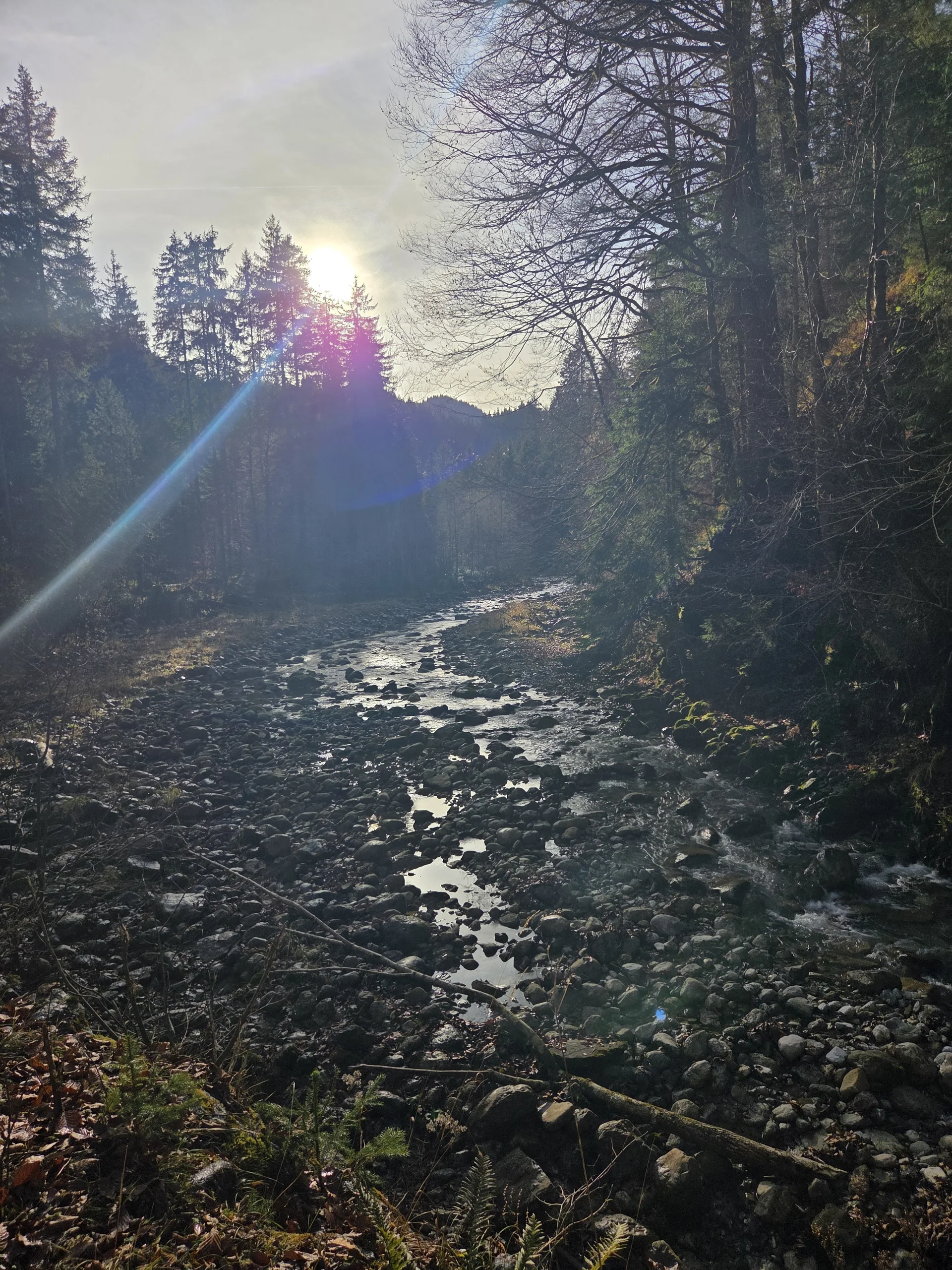 © DAV Tourengruppe Bergfreu(n)de