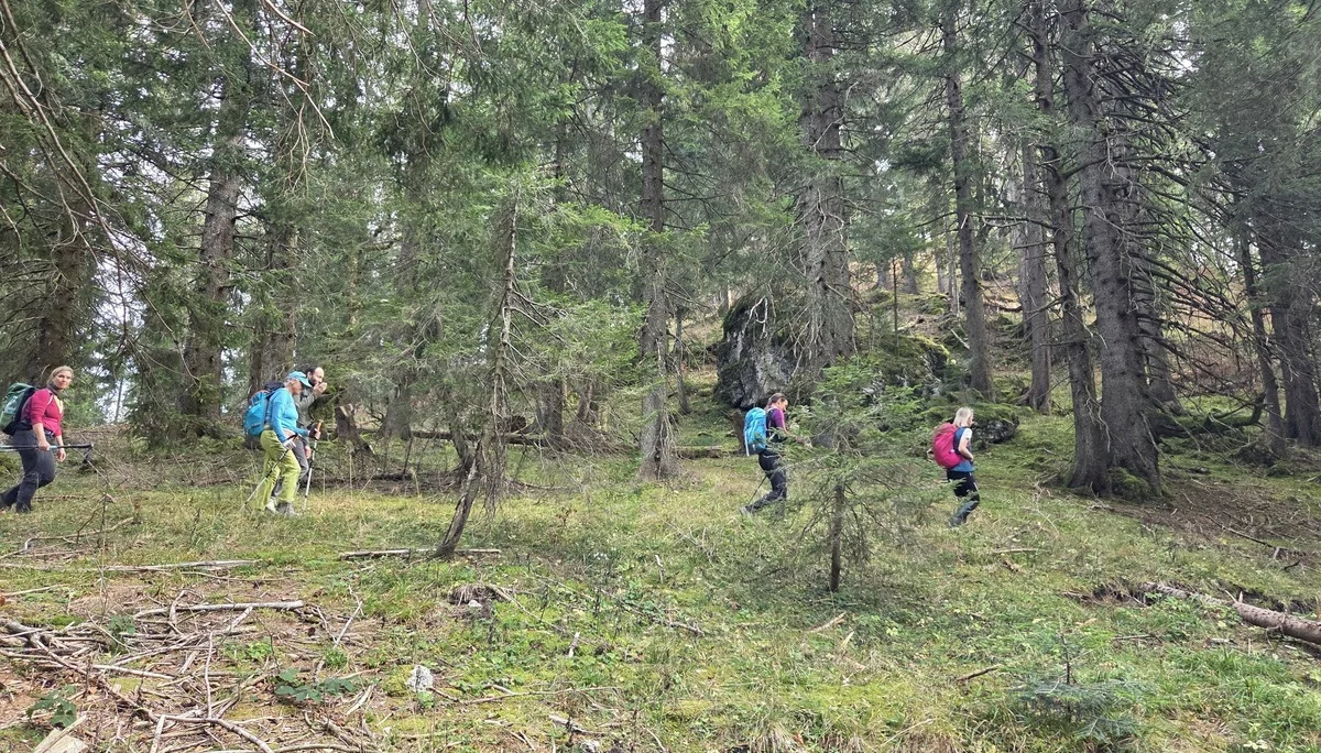 © DAV Tourengruppe Bergfreu(n)de