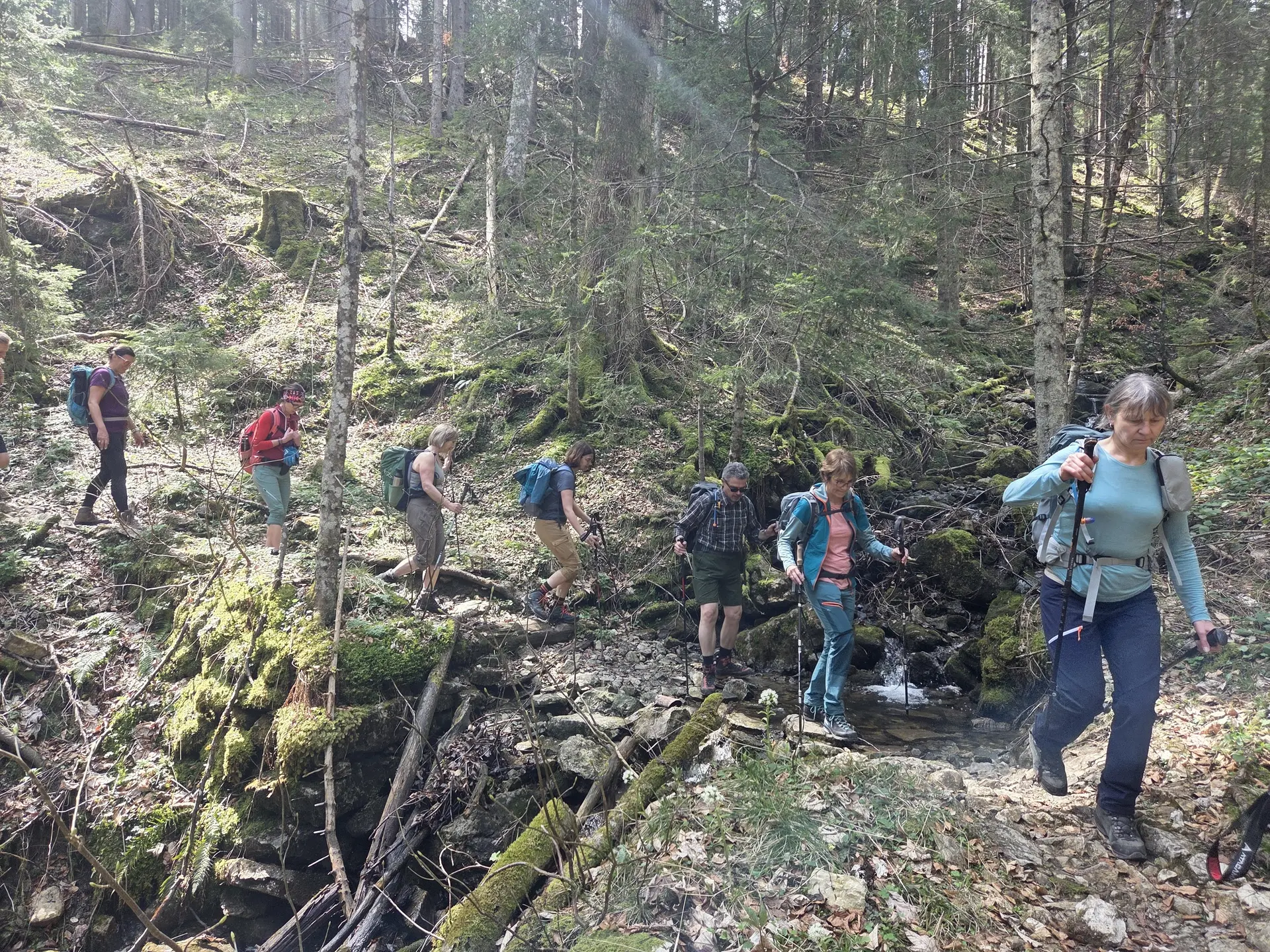 © DAV Ingolstadt / Tourengruppe Bergfreunde