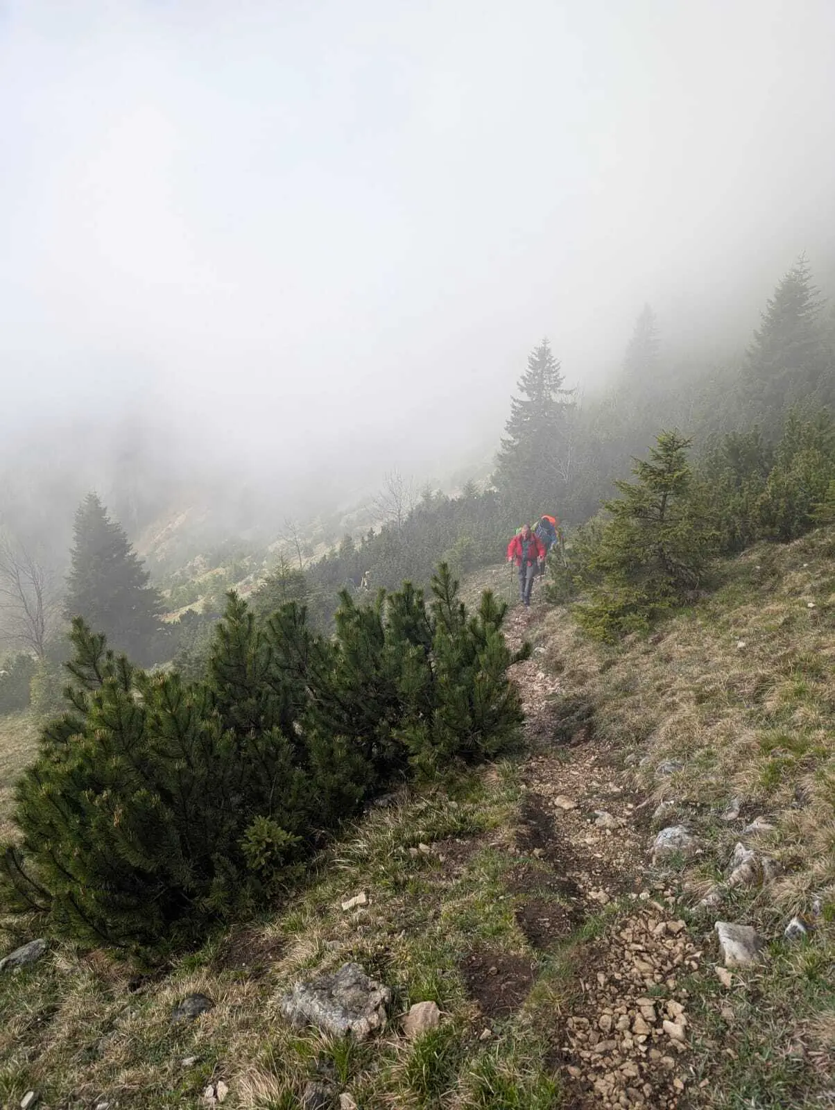 © DAV Ingolstadt / Tourengruppe Bergfreunde