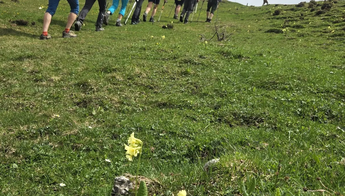 © DAV Ingolstadt / Tourengruppe Bergfreunde