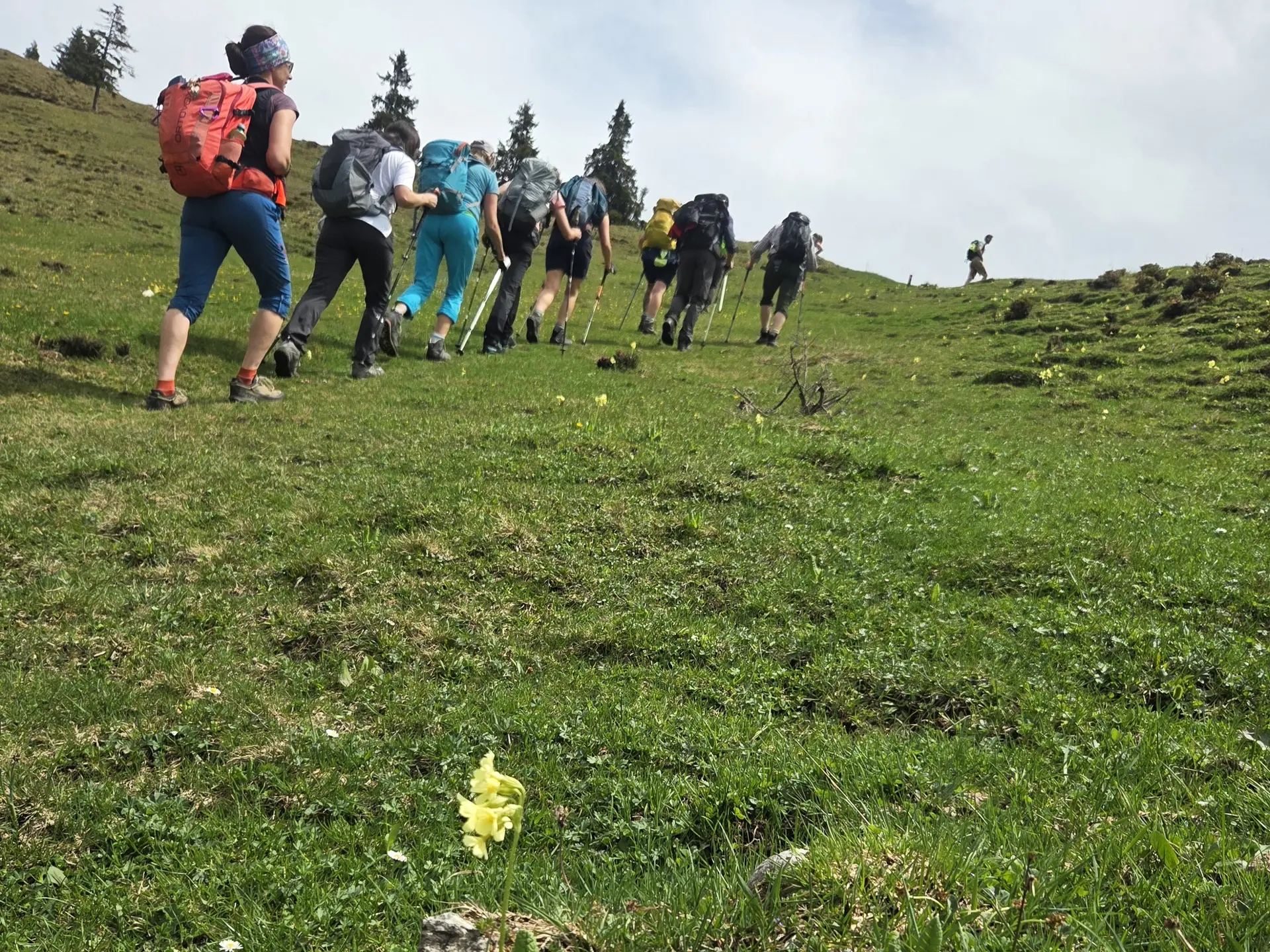 © DAV Ingolstadt / Tourengruppe Bergfreunde