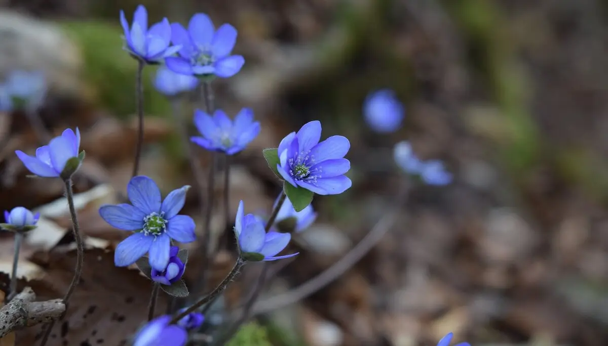 © DAV Ingolstadt / Tourengruppe Konstein
