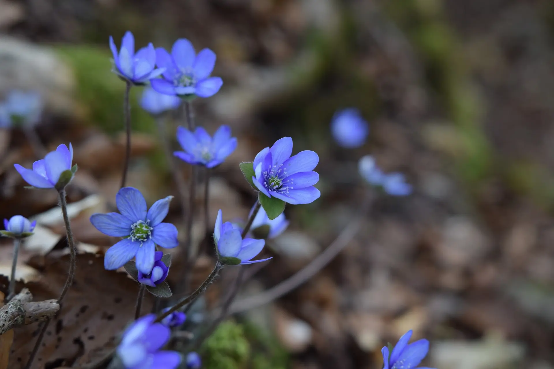 © DAV Ingolstadt / Tourengruppe Konstein