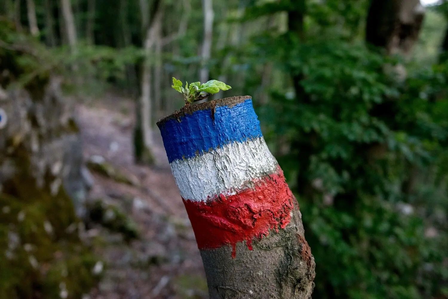 © DAV Ingolstadt / Tourengruppe Konstein