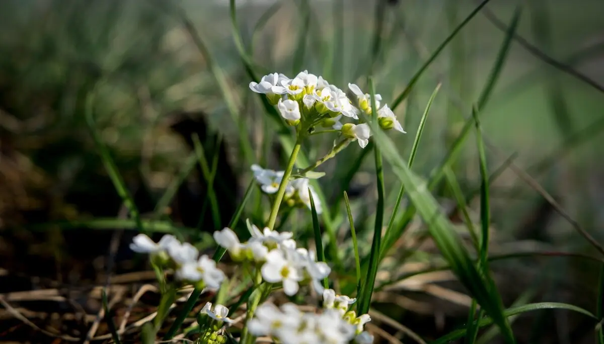 © DAV Ingolstadt / Tourengruppe Konstein