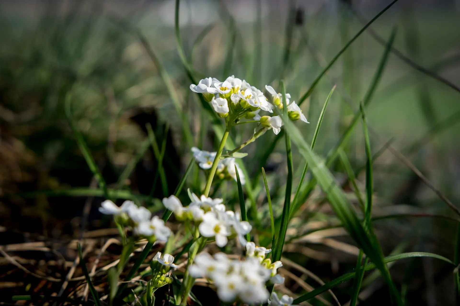 © DAV Ingolstadt / Tourengruppe Konstein