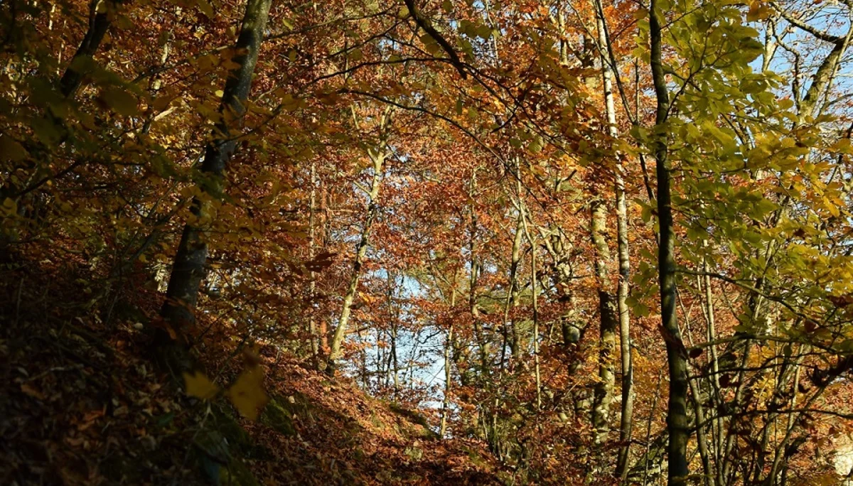 © DAV Ingolstadt / Tourengruppe Konstein
