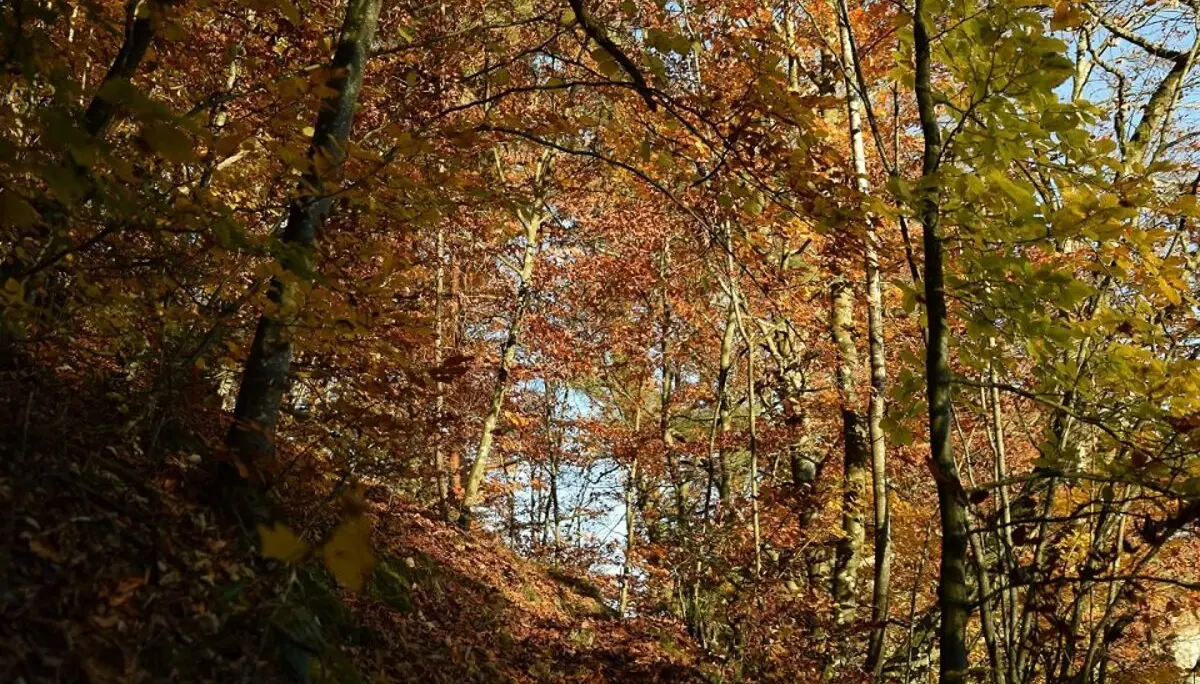© DAV Ingolstadt / Tourengruppe Konstein