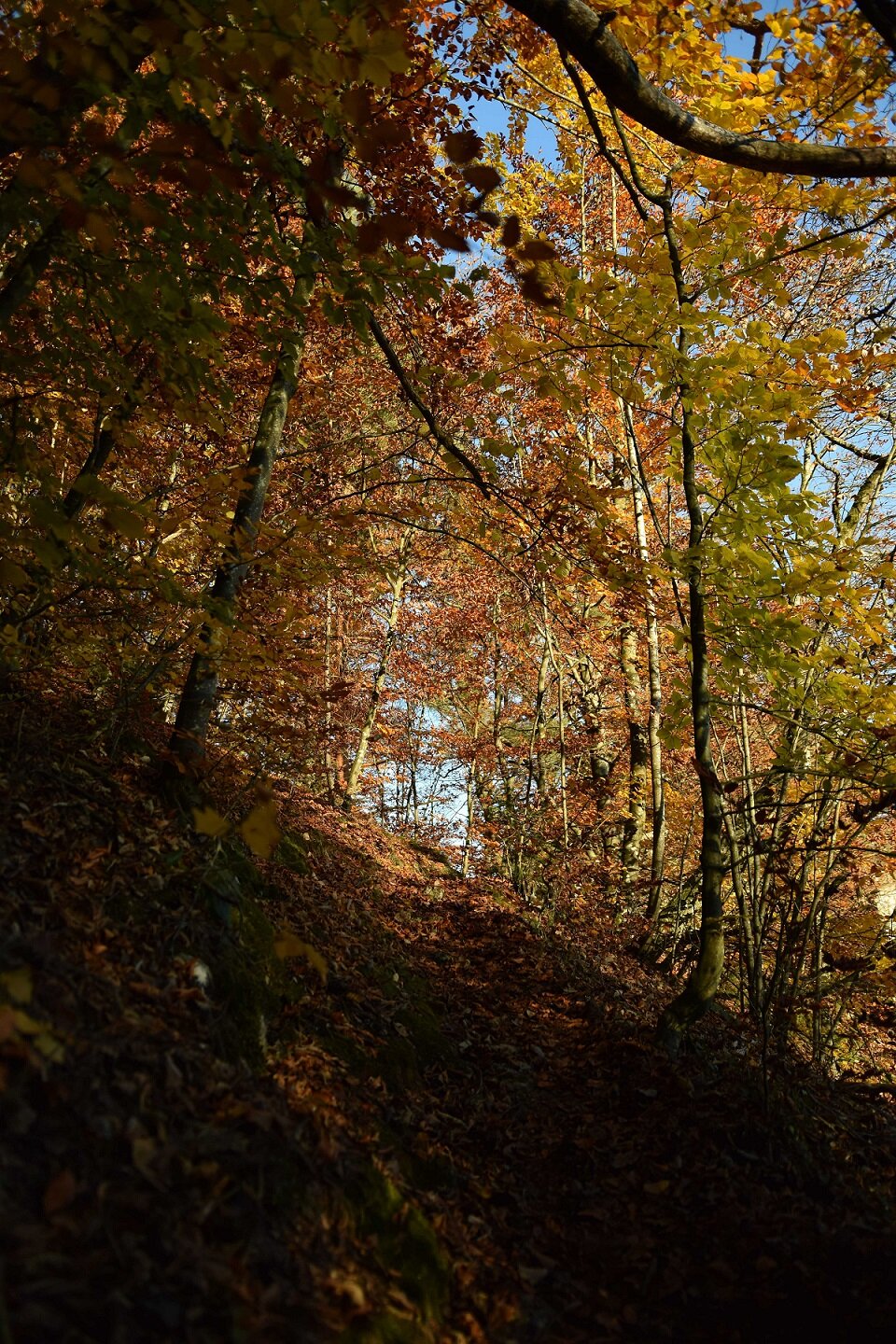 © DAV Ingolstadt / Tourengruppe Konstein