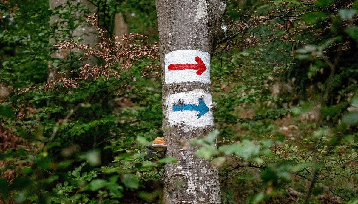 © DAV Ingolstadt / Tourengruppe Konstein