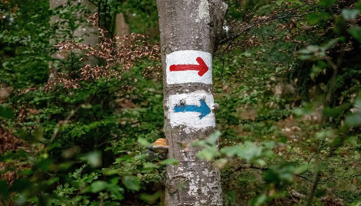 © DAV Ingolstadt / Tourengruppe Konstein