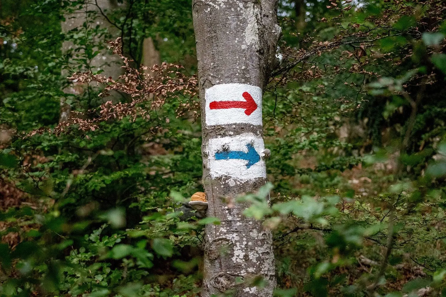 © DAV Ingolstadt / Tourengruppe Konstein