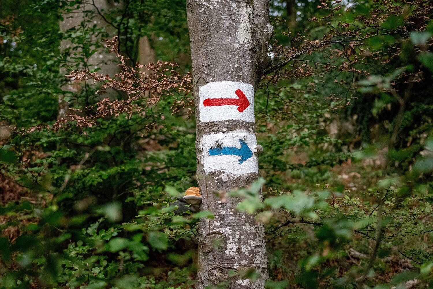 © DAV Ingolstadt / Tourengruppe Konstein